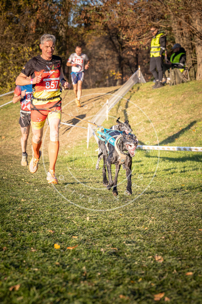 CaniXpix_0L8A0894 | Hundefotografie, Tierfotograf, Pfotenfotografie, Fotoshooting Hund, Hunde Portrait, Hundesport, Hundeportraits, Heideshooting, Hunde, Sportfotograf, Hundefotograf, Turnierhundsport, THS,  - Realisiert mit Pictrs.com