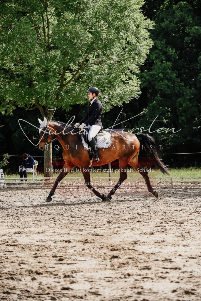 DSC_9838 | Pferde- und Turnierfotografie in Westsachsen. Pferdeportraits, Auftragszeichnungen und intuitive Kunst.