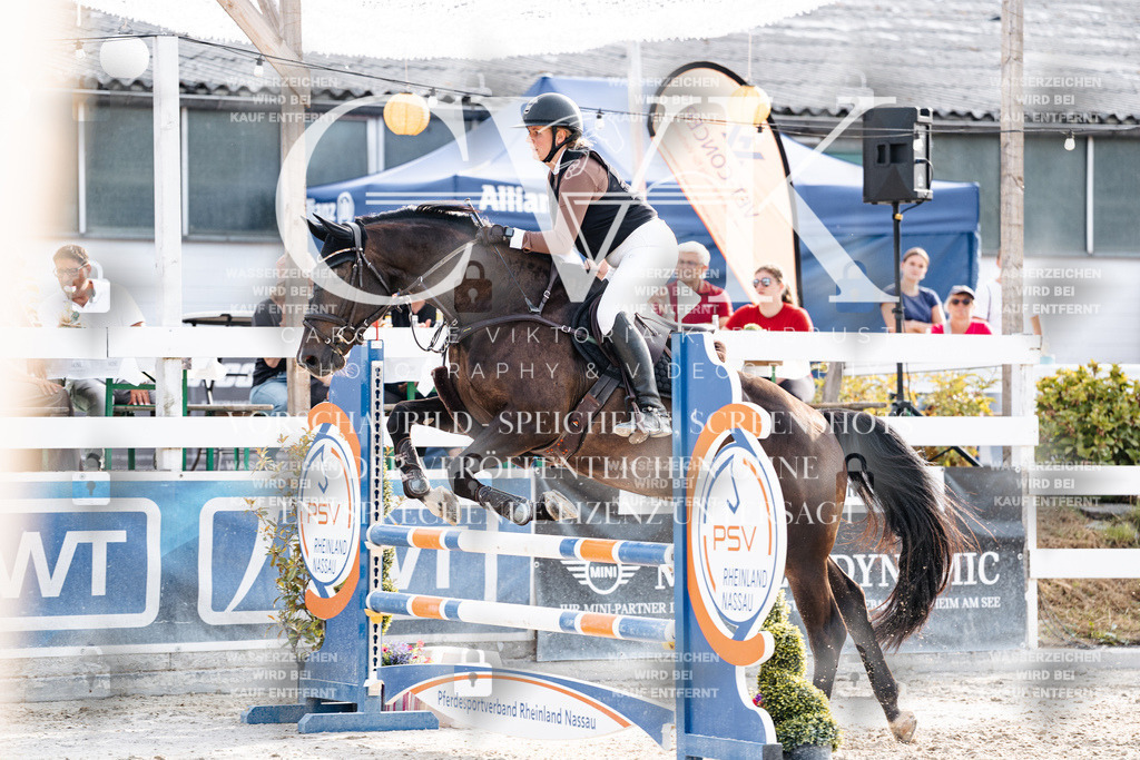 CK906571 | Turnierfotografie Pferdefotografie Trier Rheinland-Pfalz Pferdesport Reitsport Tierfotografie Sportfotografie Pferdevideo Pferdevideografie Equestrianvideography equestrianphotography  - Realisiert mit Pictrs.com