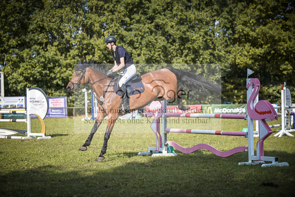 DOS_0560 | Entdecke hochwertige Reitturnierfotos von Foto Oger. Professionell, emotional und authentisch – jetzt Lieblingsmomente im Shop bestellen.Deutschlandweite Turnierfotografie. - Realisiert mit Pictrs.com