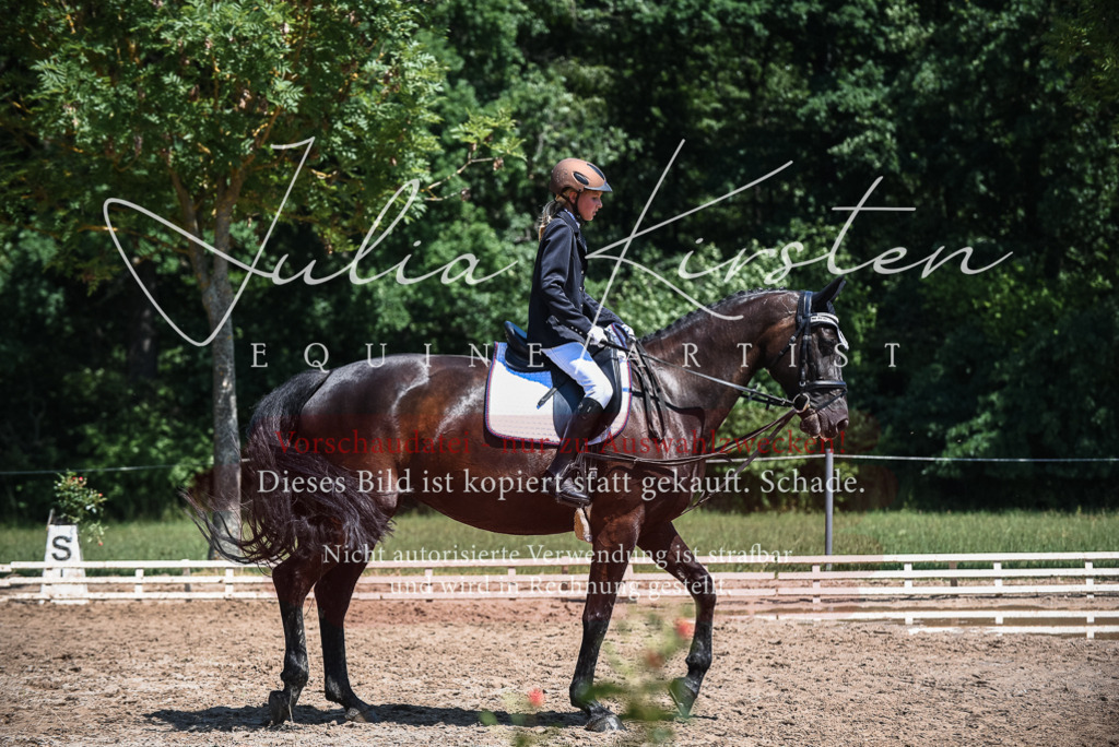 DSC_2835 | Pferde- und Turnierfotografie in Westsachsen. Pferdeportraits, Auftragszeichnungen und intuitive Kunst.