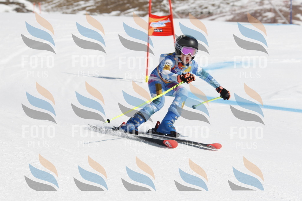 _U3G0260 | holidayphoto