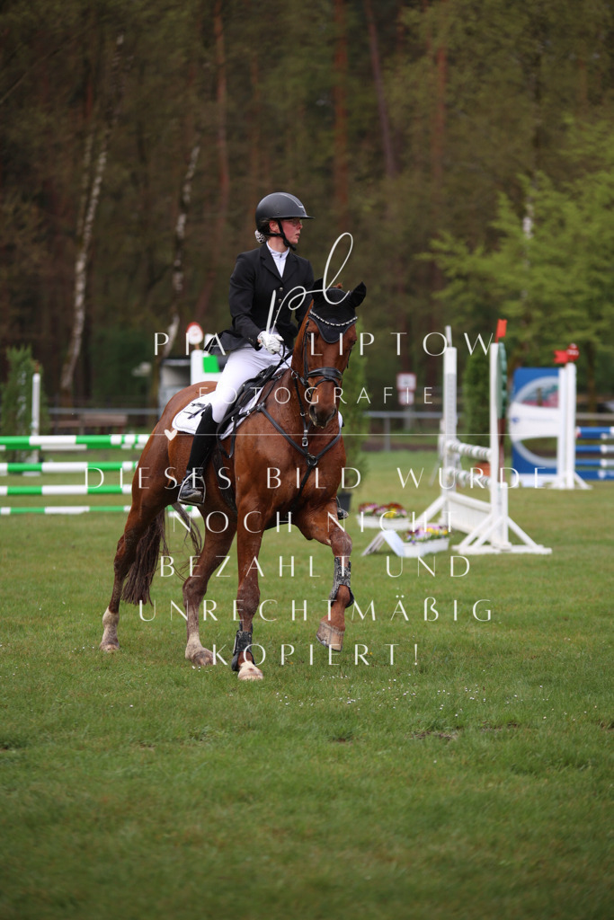 IMGT2460 | pl-fotografie