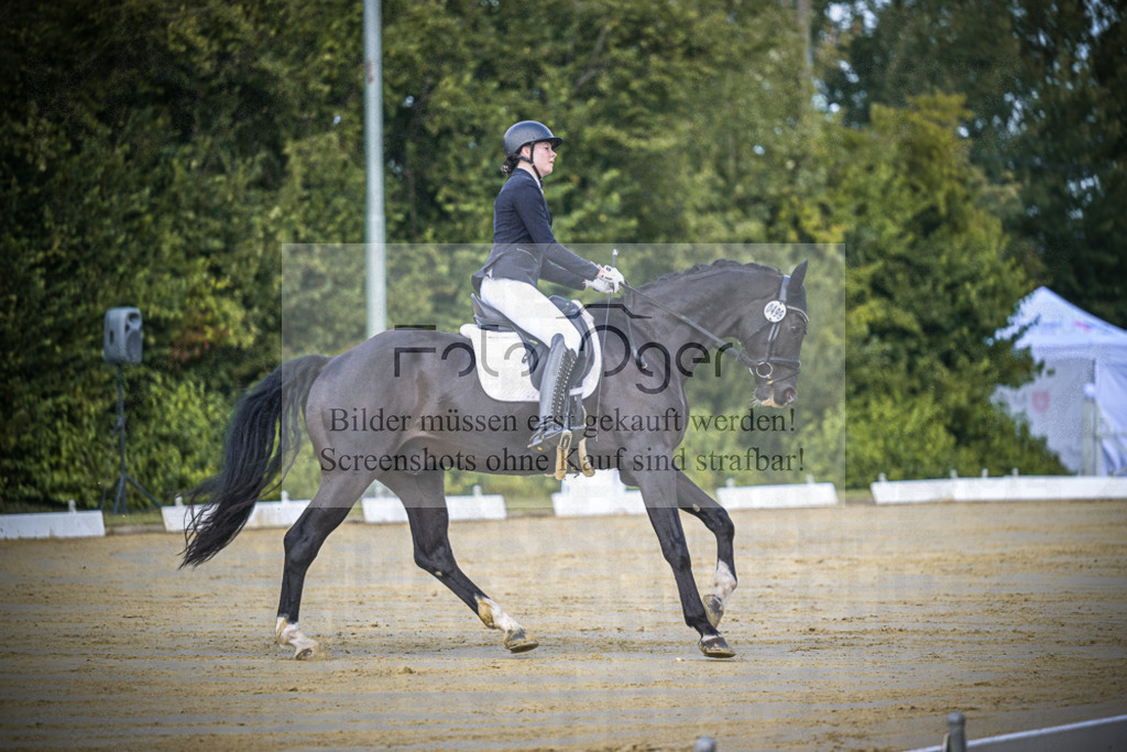 DOS_4643 | Entdecke hochwertige Reitturnierfotos von Foto Oger. Professionell, emotional und authentisch – jetzt Lieblingsmomente im Shop bestellen.Deutschlandweite Turnierfotografie. - Realisiert mit Pictrs.com