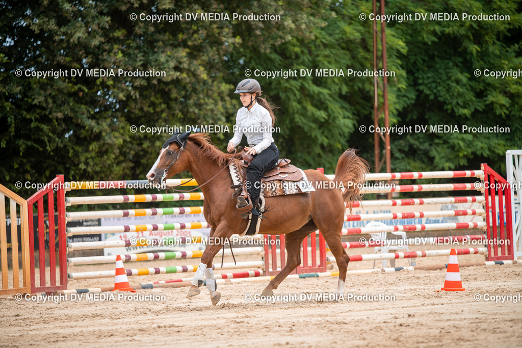 ZS2_8614 | dv-media-shop - Realisiert mit Pictrs.com