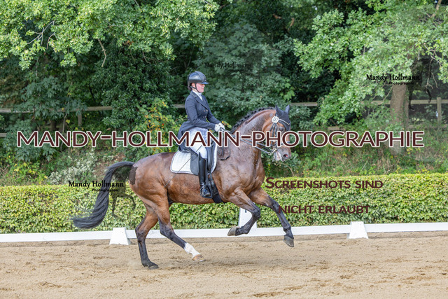 15.8.25 -9- DRE S-49 | mandyhollmannphotographie