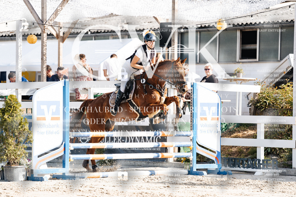 CK909362 | Turnierfotografie Pferdefotografie Trier Rheinland-Pfalz Pferdesport Reitsport Tierfotografie Sportfotografie Pferdevideo Pferdevideografie Equestrianvideography equestrianphotography  - Realisiert mit Pictrs.com