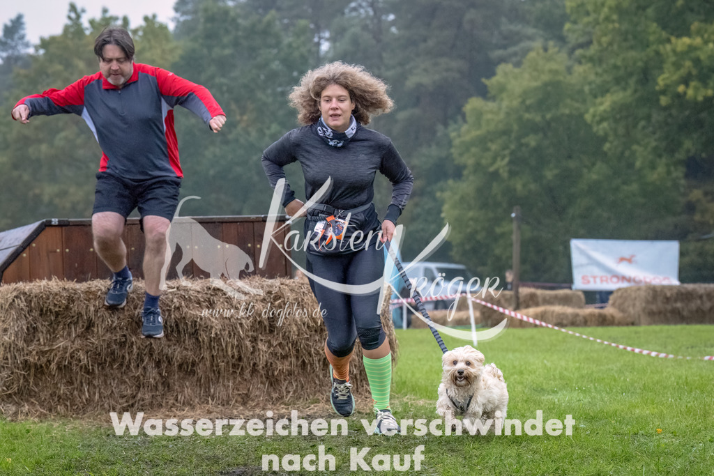 1243--5 | kk-dogfotos