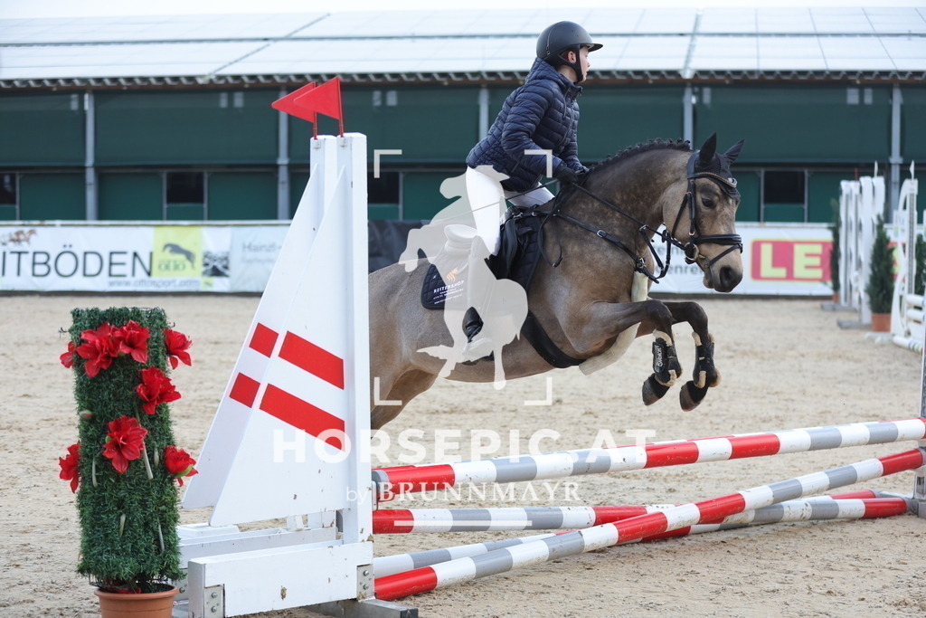 0P6A9263 | Willkommen bei Brunnmayr - Design & Fotografie – Ihrem Spezialisten für Reitturniere und Pferdeveranstaltungen in Oberösterreich, Salzburg und Bayern! Seit über 17 Jahren sind wir leidenschaftlich dabei.