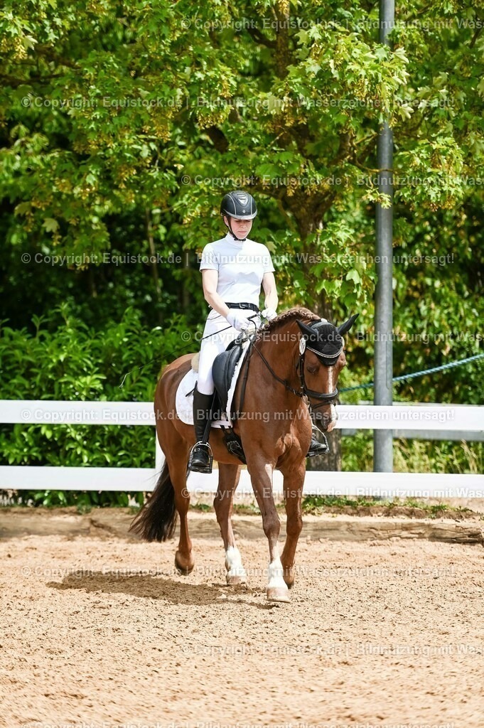 20230715_05_Dressurprüfung Kl.A++_0202 | equistock