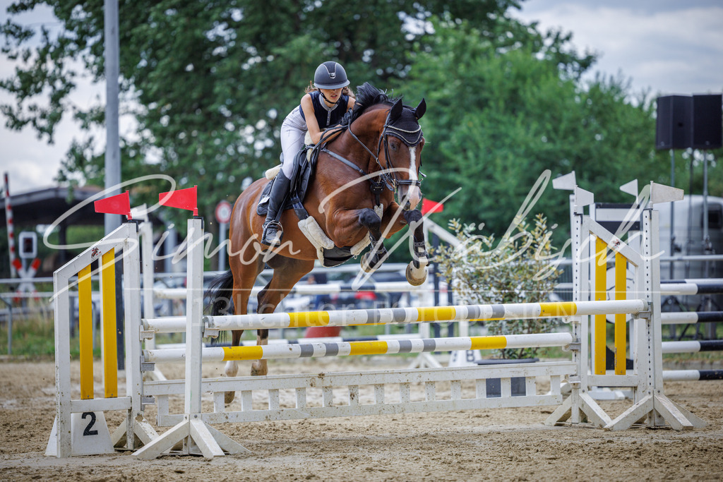 20260705-_3LI6203 | Tierfotografie Pferde, Hunde, Katzen, Haustiere.
Turnierfotografie Reitturniere, Reiten, Springreiten, Dressur in Hanau, dem Main-Kinzig-Kreis und dem Rhein-Main- Gebiet um Frankfurt