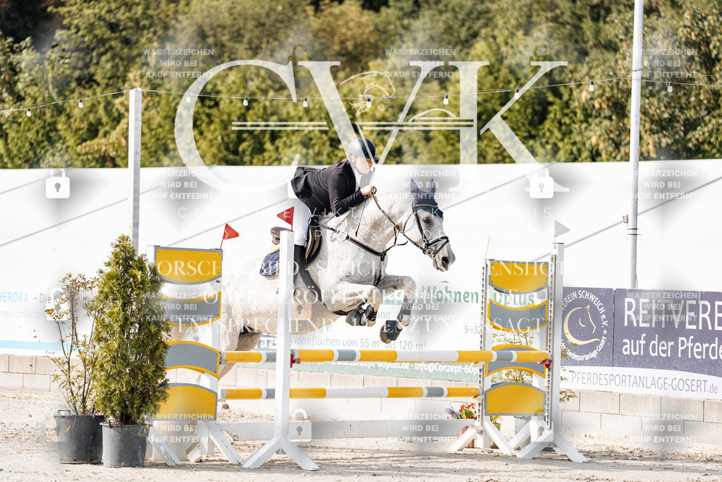 CK905486 | Turnierfotografie Pferdefotografie Trier Rheinland-Pfalz Pferdesport Reitsport Tierfotografie Sportfotografie Pferdevideo Pferdevideografie Equestrianvideography equestrianphotography  - Realisiert mit Pictrs.com