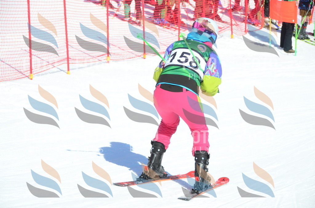 C6189 | holidayphoto