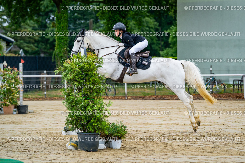 DSC01775 | Pferdegrafie