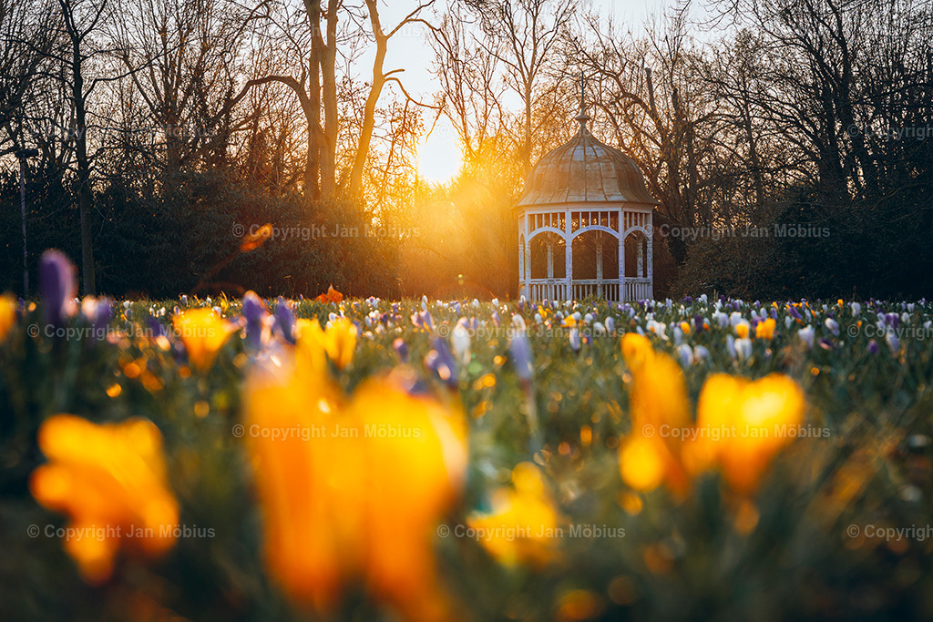 _DSC0521 | Leipzig Wandbilder Drucke Prints Leinwand Stadtmotive Leipzig Fotosdruck Kunstdrucke Bilder Leipzig Stadtansichten Acrylglasbilder Leipzig Wanddeko Fine Art Prints Wandbilder Büro Leipzig Bilder Praxis Zuhause Bilderdruck Poster Posterlounge Kunstdrucke - Realisiert mit Pictrs.com