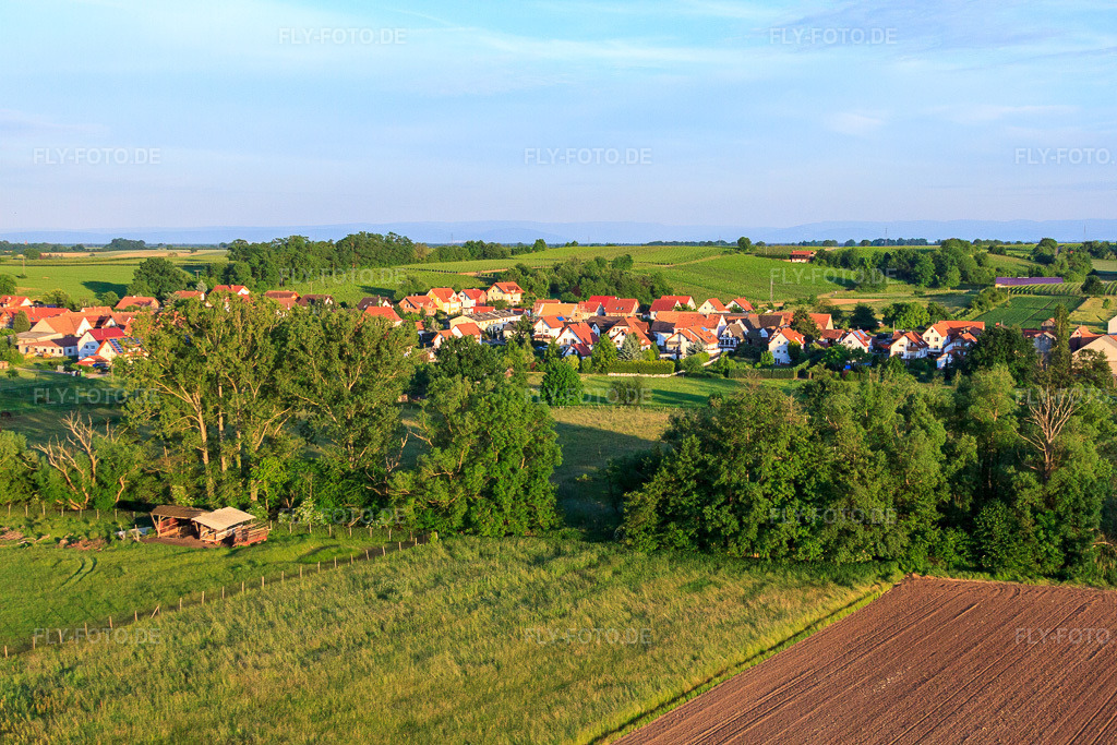Luftbild: Im Billigheimer Bruch in Hergersweiler im Bundesland Rheinland-Pfalz in Deutschland. Foto: IMG_50131.jpg vom 05.06.2012 durch Werner Riehm/FLY-FOTO.de