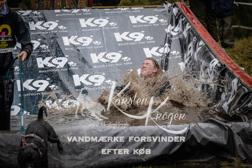 1112_ZZ92156 | kk-dogfotos