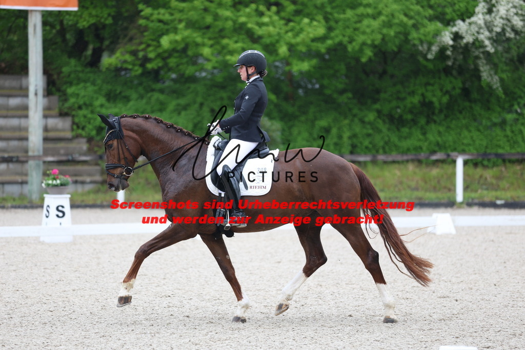 A40A7205 | lmwpictures - Realisiert mit Pictrs.com