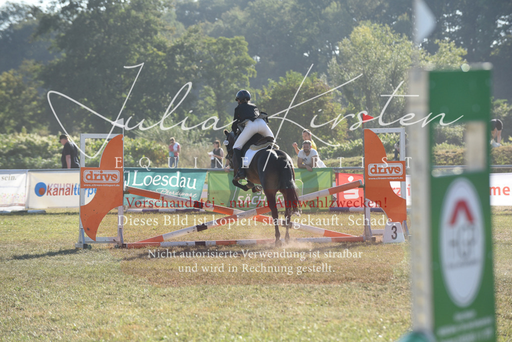 DSC_5614 | Pferde- und Turnierfotografie in Westsachsen. Pferdeportraits, Auftragszeichnungen und intuitive Kunst.