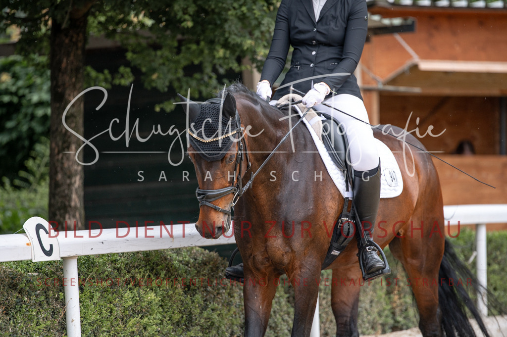 Schugtsche-Aluta25-41.Amat-Dressurprf.A_-130 | Schugtsche Fotografie - Realisiert mit Pictrs.com