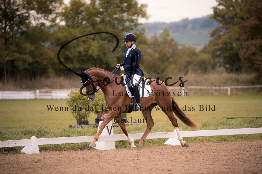 A7V04915 | Pferdefotograf