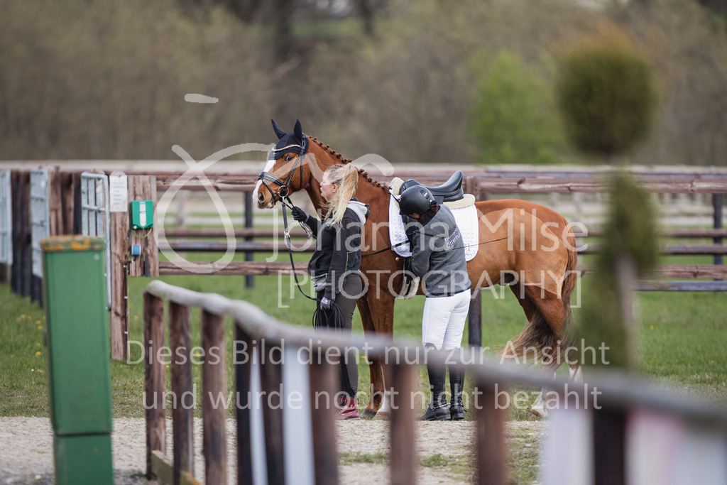 230410_Frühlingsfest_Dressurreiter-L_Impressionen-648 | Deine schönsten Turniermomente als professionelle Fotos! Entdecke hochwertige Pferdesport-Fotografie im Online-Shop. Jetzt Fotos finden & bestellen!