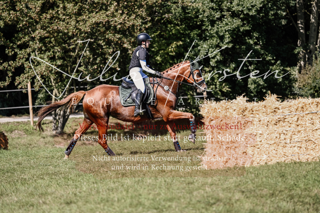 DSC_3157 | Pferde- und Turnierfotografie in Westsachsen. Pferdeportraits, Auftragszeichnungen und intuitive Kunst.