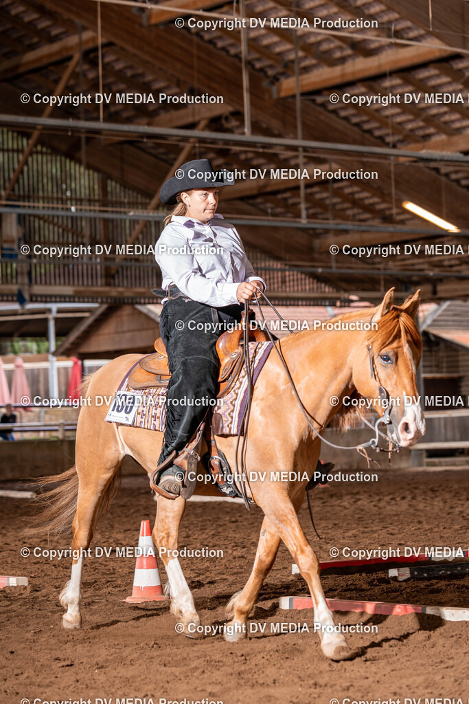 Erbach Tag 2-328 | dv-media-shop - Realisiert mit Pictrs.com