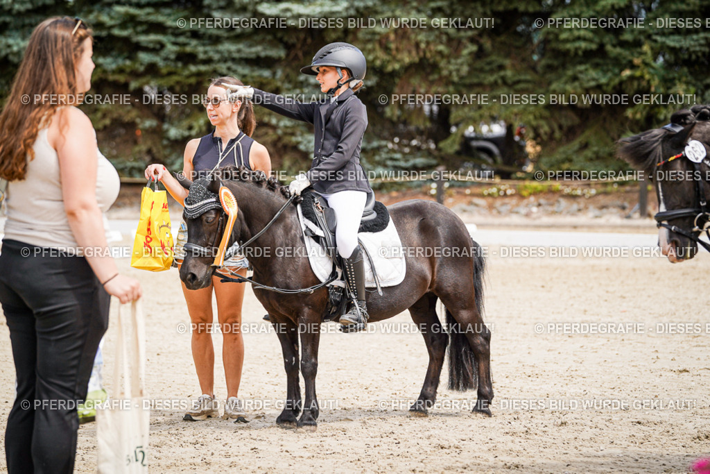 DSC02866 | Pferdegrafie