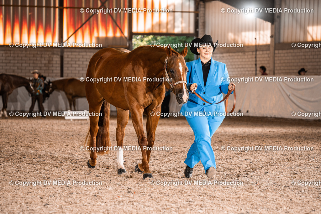 ZH100097 | dv-media-shop - Realisiert mit Pictrs.com