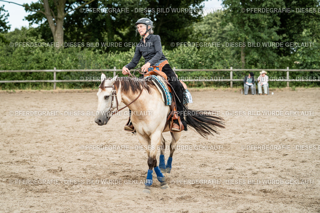 DSC02235 | Pferdegrafie