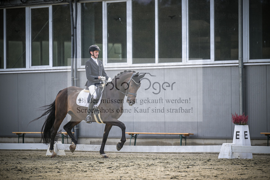 DOS_1205 | Entdecke hochwertige Reitturnierfotos von Foto Oger. Professionell, emotional und authentisch – jetzt Lieblingsmomente im Shop bestellen.Deutschlandweite Turnierfotografie. - Realisiert mit Pictrs.com