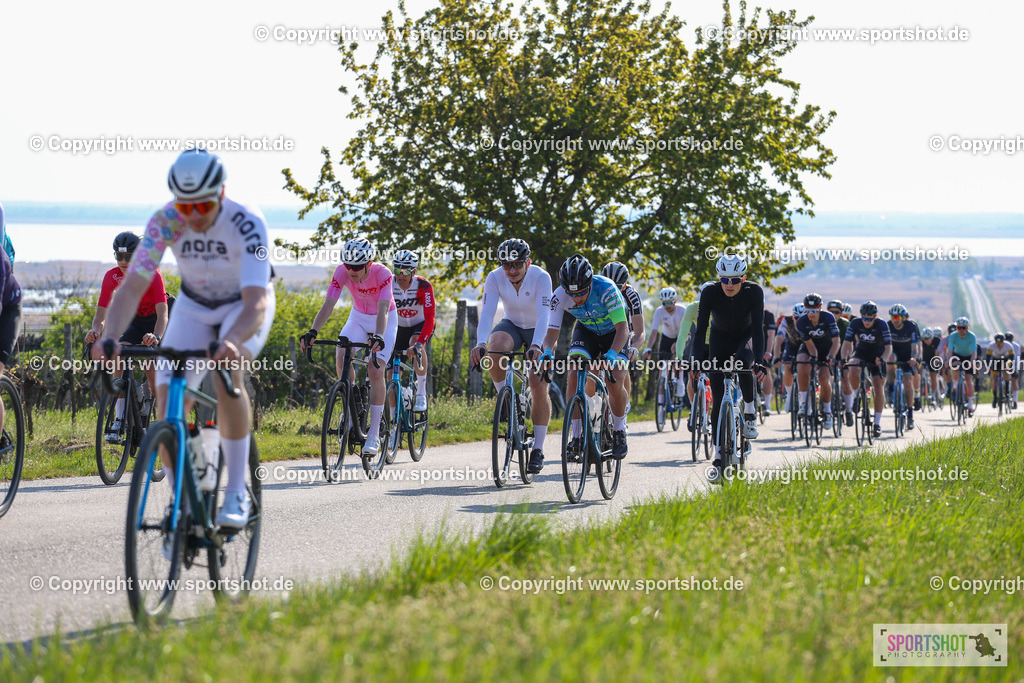 IMG_0517 | @sportshot_your_pictrs #yourpictures#roadtowm2029 #nrm #neusiedlerseeradmarathon #neusiedlersee #neusiedlerseetourismus #burgenland #mörbisch #nrm26 #burgenlandtourismus #voglundco #poweredbyburgenlandtourismus #radsport #rad #marathon #ucigranfondo #visitburgenland #ucigranfondoworldseries