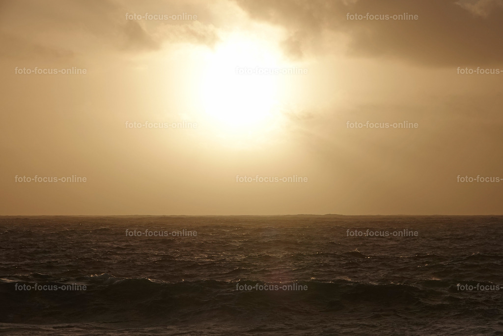 65 | foto-focus-online