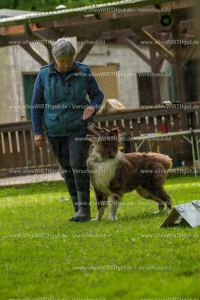 @allesWIRTHgut_Tierfotografie - www.allesWIRTHgut.de - 101235-7R508172 | Professionelle Tierfotografie in Mönchengladbach von Daniel Wirth (allesWIRTHgut). Liebevolle & natürliche Bilder von Hunden & Katzen für unvergessliche Erinnerungen.