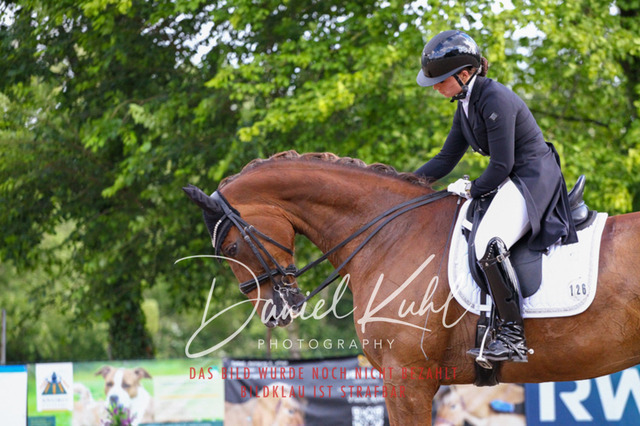 DKP41610 | Turnierfotos kaufen im Webshop von Daniel Kuhl Photography – entdecke professionelle Reitsportfotos aus Turnieren & Events. Hochwertige Turnierbilder online bestellen & sichern. Jetzt Fotos von Reitsportturnieren kaufen!