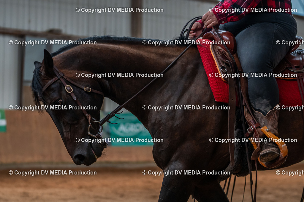 Neckargemünd Tag 3-582 | dv-media-shop - Realisiert mit Pictrs.com