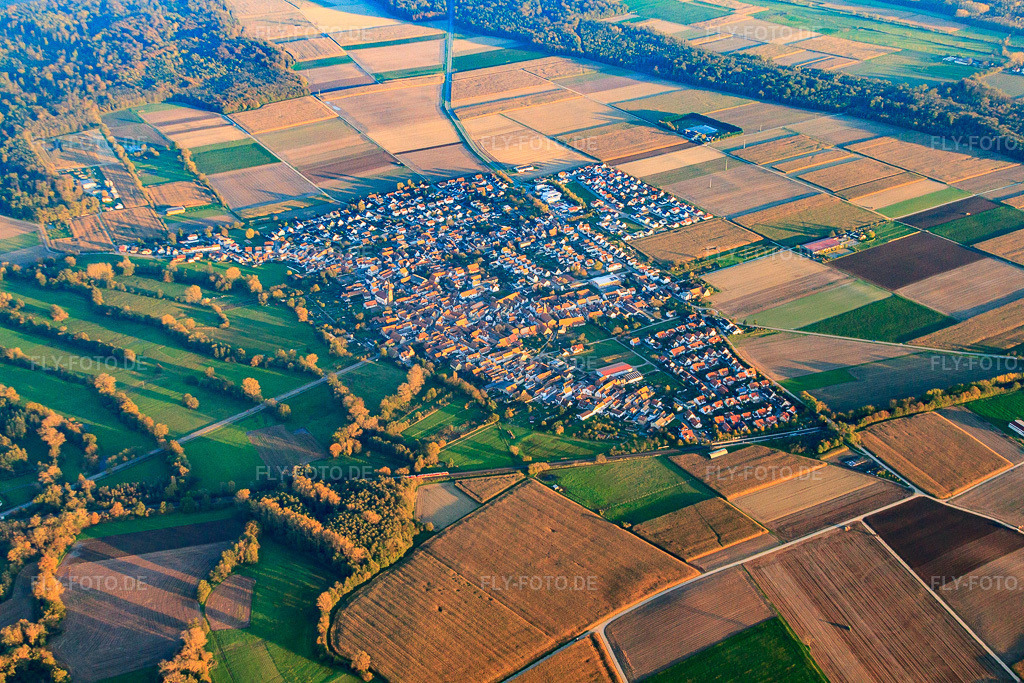 Luftbild: Ortansicht aus Nordwesten in Steinweiler im Bundesland Rheinland-Pfalz in Deutschland. Foto: IMG_60778.jpg vom 31.10.2013 durch Werner Riehm/FLY-FOTO.de