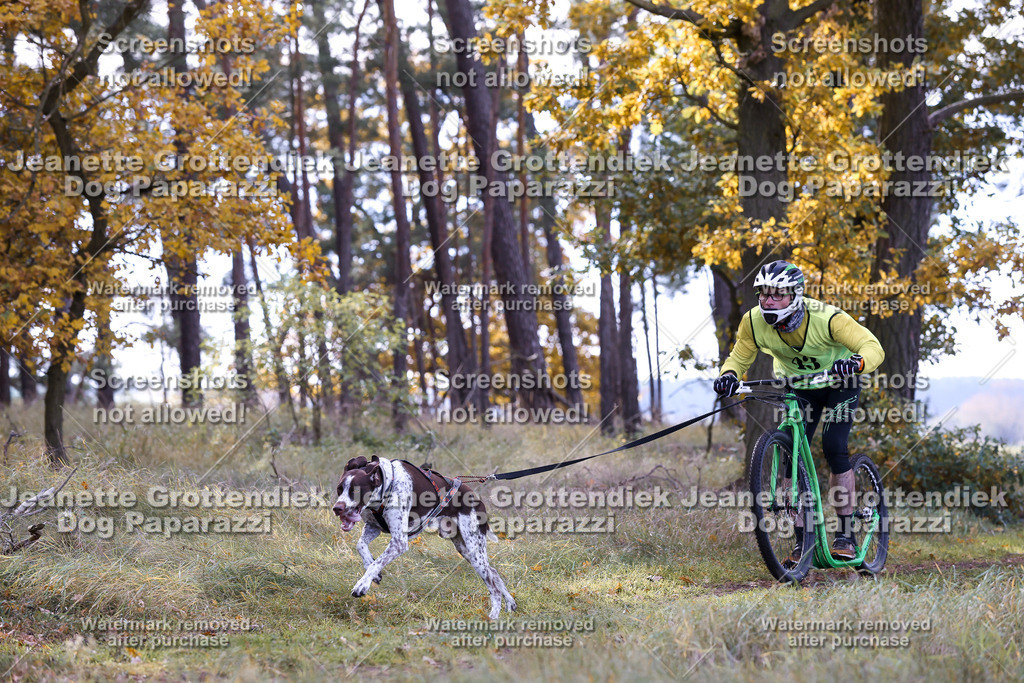 Dog Paparazzi - Elsholz 25 -170 | Dog Paparazzi Jeanette Grottendiek Fotografie & Videografie - Realisiert mit Pictrs.com