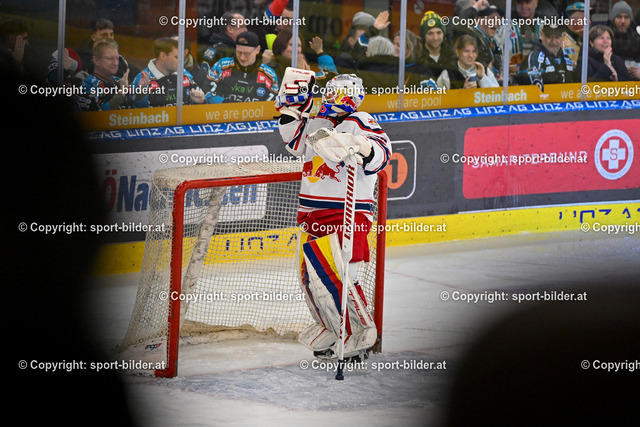 AUT, ICE, Black Wings Linz vs EC Red Bull Salzburg | 15.12.2024, Eishalle Linz, AUT, ICE Eishockey Liga, Black Wings Linz vs EC Red Bull Salzburg, im Bild David Kickert of EC Red Bull Salzburg// ICE win2day Hockey League Match between Black Wings Linz and EC Red Bull Salzburg in Linz, Austria on 2024/12/15