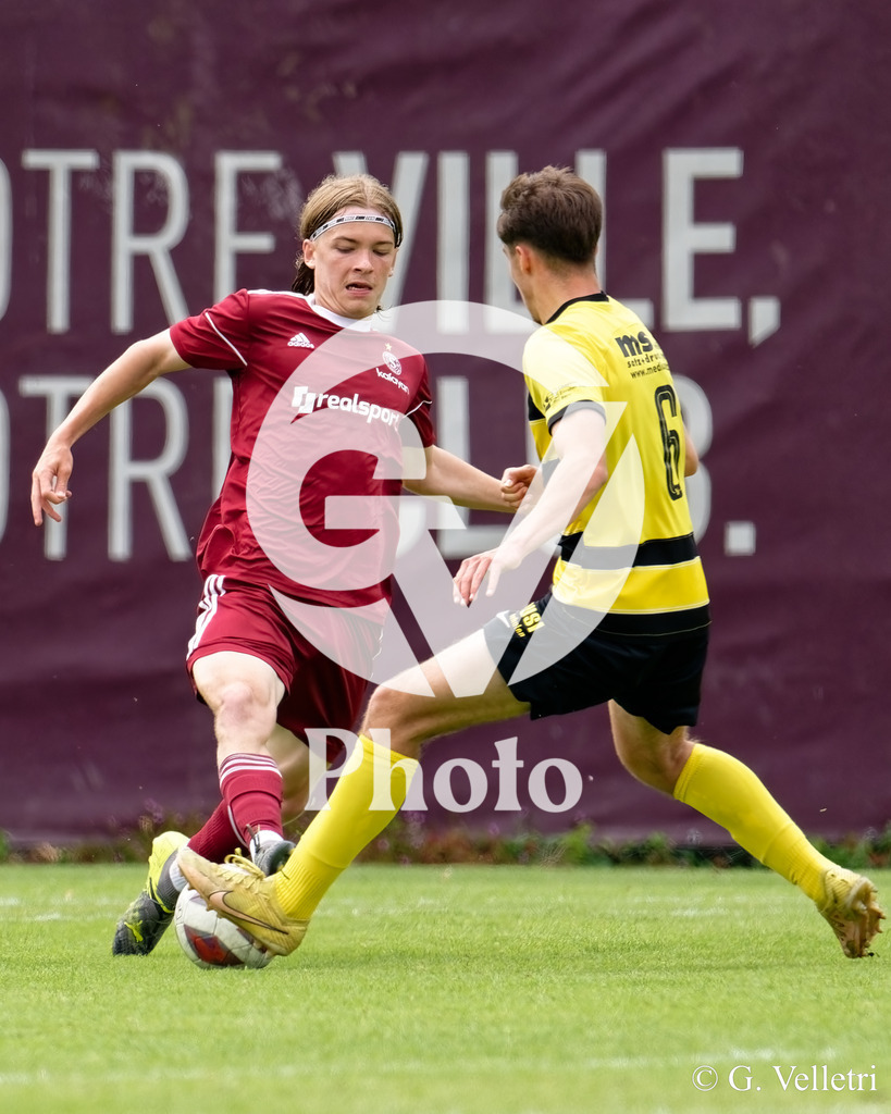 DSC_4613 | Velletri Photo