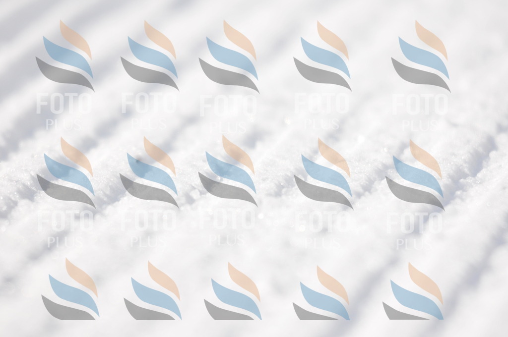 C2629 | holidayphoto