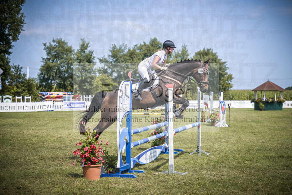 DOS_3756 | Entdecke hochwertige Reitturnierfotos von Foto Oger. Professionell, emotional und authentisch – jetzt Lieblingsmomente im Shop bestellen.Deutschlandweite Turnierfotografie. - Realisiert mit Pictrs.com