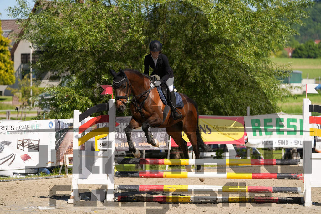 DSC02101 | Julian Held Fotografie - Realisiert mit Pictrs.com