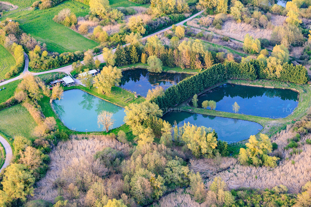 Vue aérienne: Quatre étangs sur le bief à Leyweiler dans le département Moselle, France.Photo: IMG_154366.jpg prise le 17/04/2026 par Werner Riehm/FLY-FOTO.euRésolution de l'original: 5820 x 3880 px