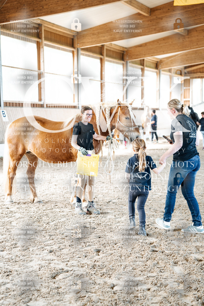 CK703170 | Turnierfotografie Pferdefotografie Trier Rheinland-Pfalz Pferdesport Reitsport Tierfotografie Sportfotografie Pferdevideo Pferdevideografie Equestrianvideography equestrianphotography  - Realisiert mit Pictrs.com