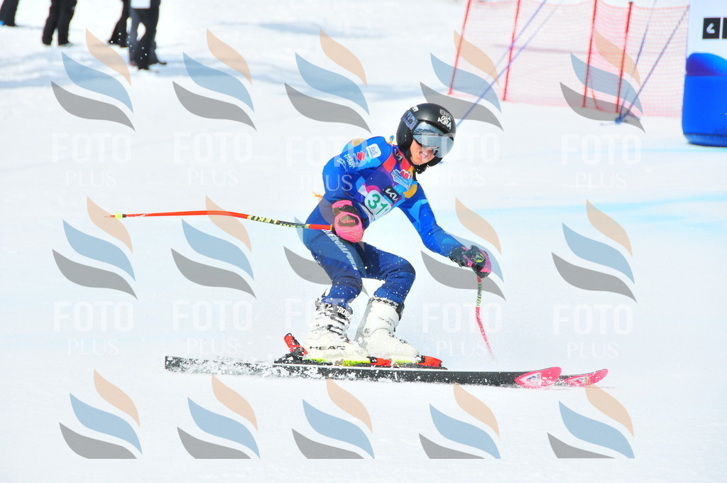 DSC_2874 | holidayphoto