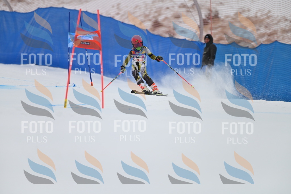 BGV_1128 | holidayphoto