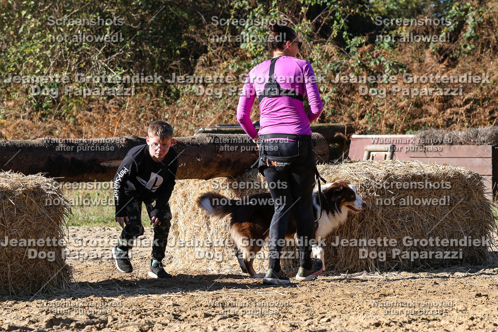 Dog Paparazzi - Strongdog 10-25-2441 | Dog Paparazzi Jeanette Grottendiek Fotografie & Videografie - Realisiert mit Pictrs.com