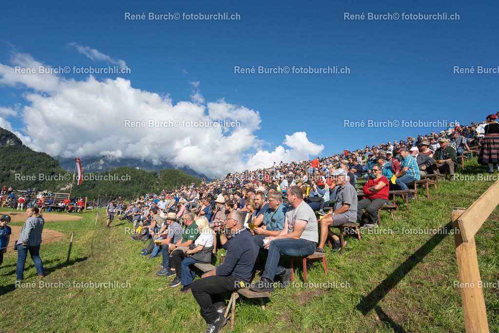 DSC08511 | René Burch leidenschaftlicher Fotograf aus Kerns in Obwalden.  Hier finden sie Sport, Landschaft und Natur Fotografie.
 - Realisiert mit Pictrs.com